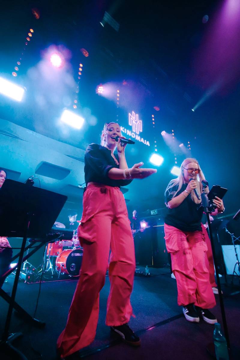 Pink Panthers showband 2