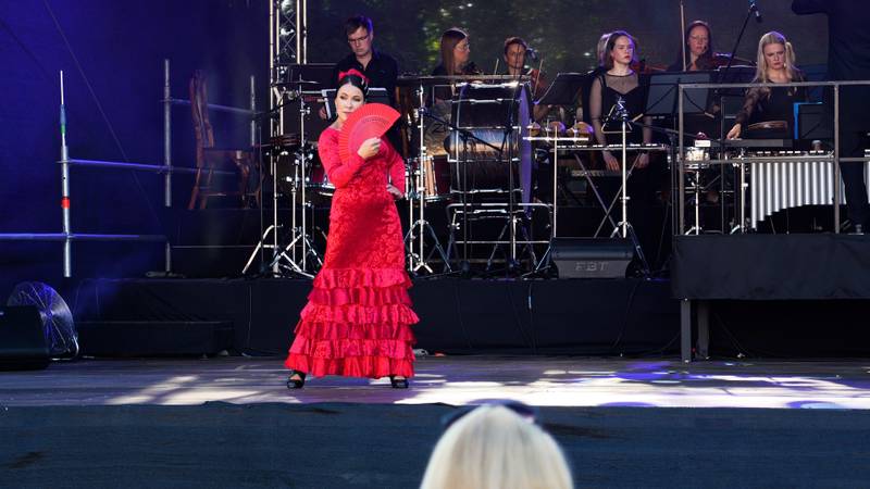 ArteFlamenco 2